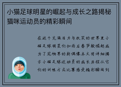 小猫足球明星的崛起与成长之路揭秘猫咪运动员的精彩瞬间